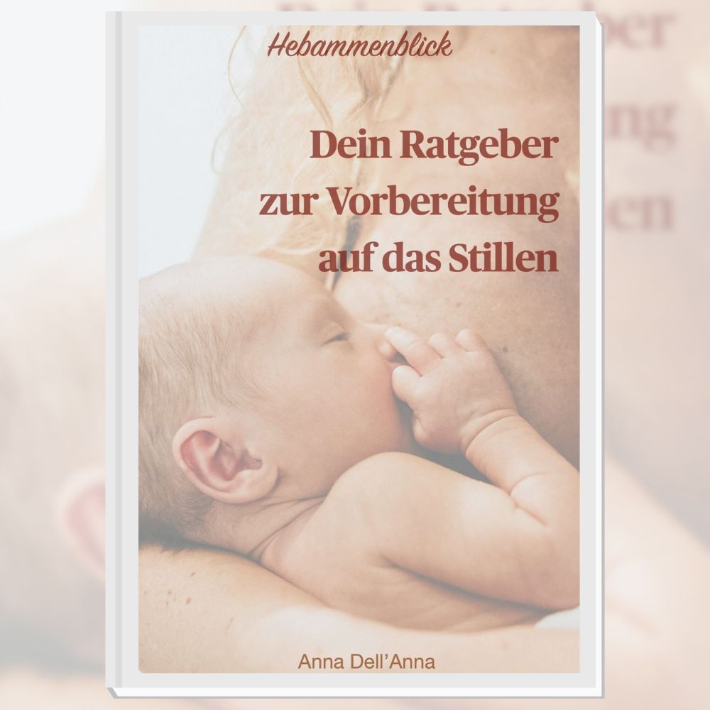 VORBEREITUNG AUF DAS STILLEN (german) - guidebook
