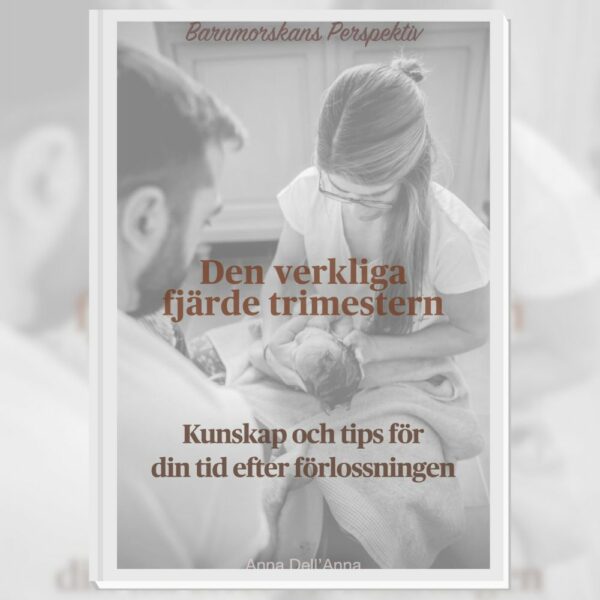 DEN VERKLIGA FJÄRDE TRIMESTERN (swedish) - guidebook