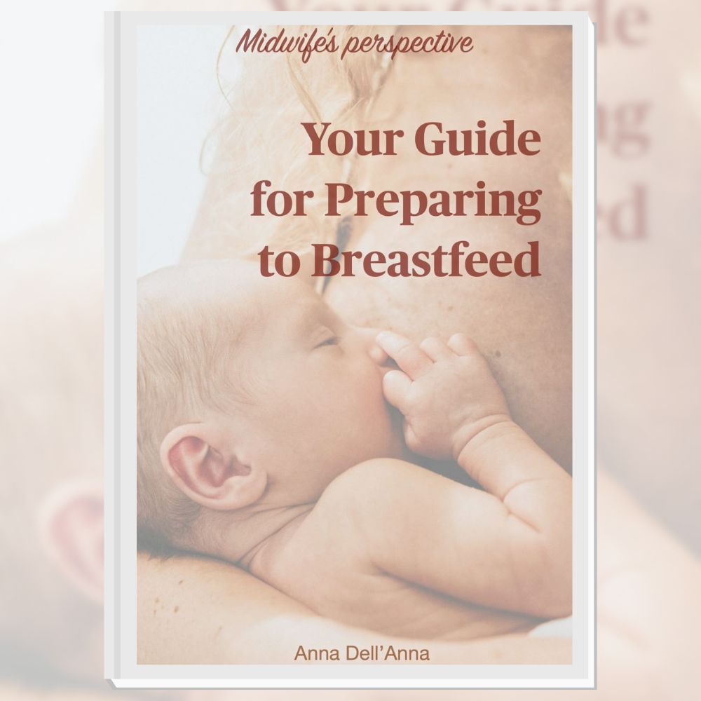 PREPARING FOR BREASTFEED (english) - guidebook